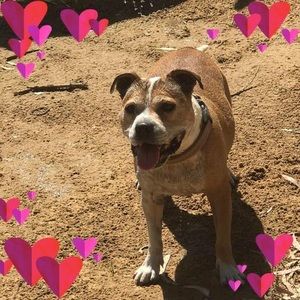 Meet your Posher, Cinda